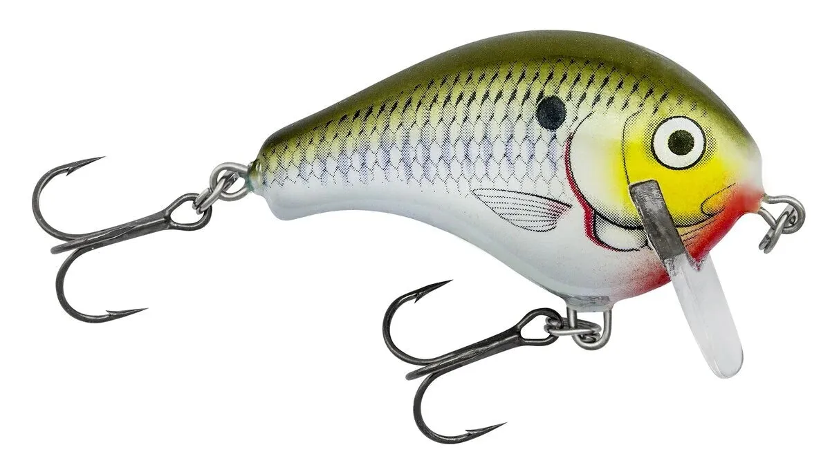 Bagley Balsa Wake 1