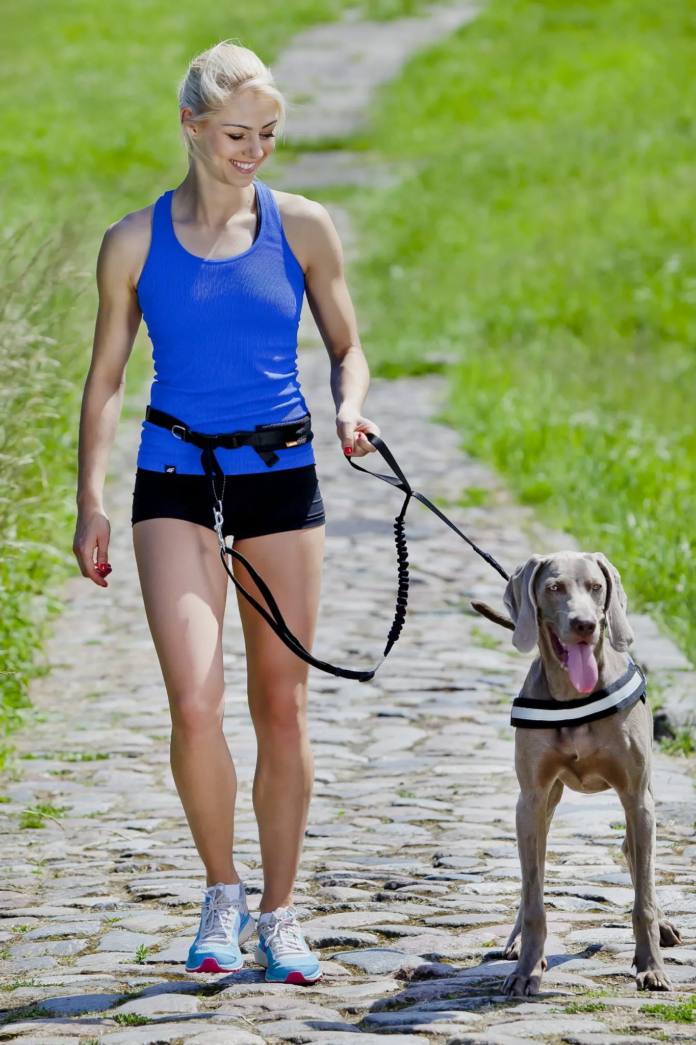 Jogging Belt and Leash with Shock Absorber Set