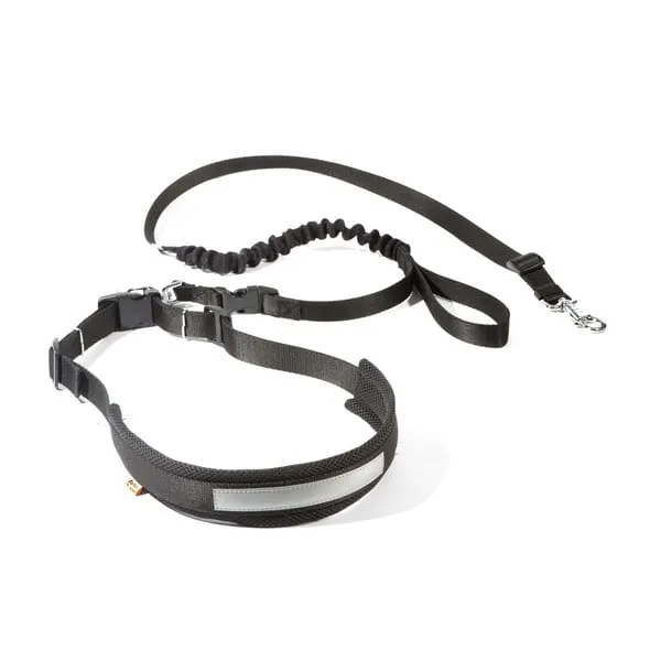 Jogging Belt and Leash with Shock Absorber Set