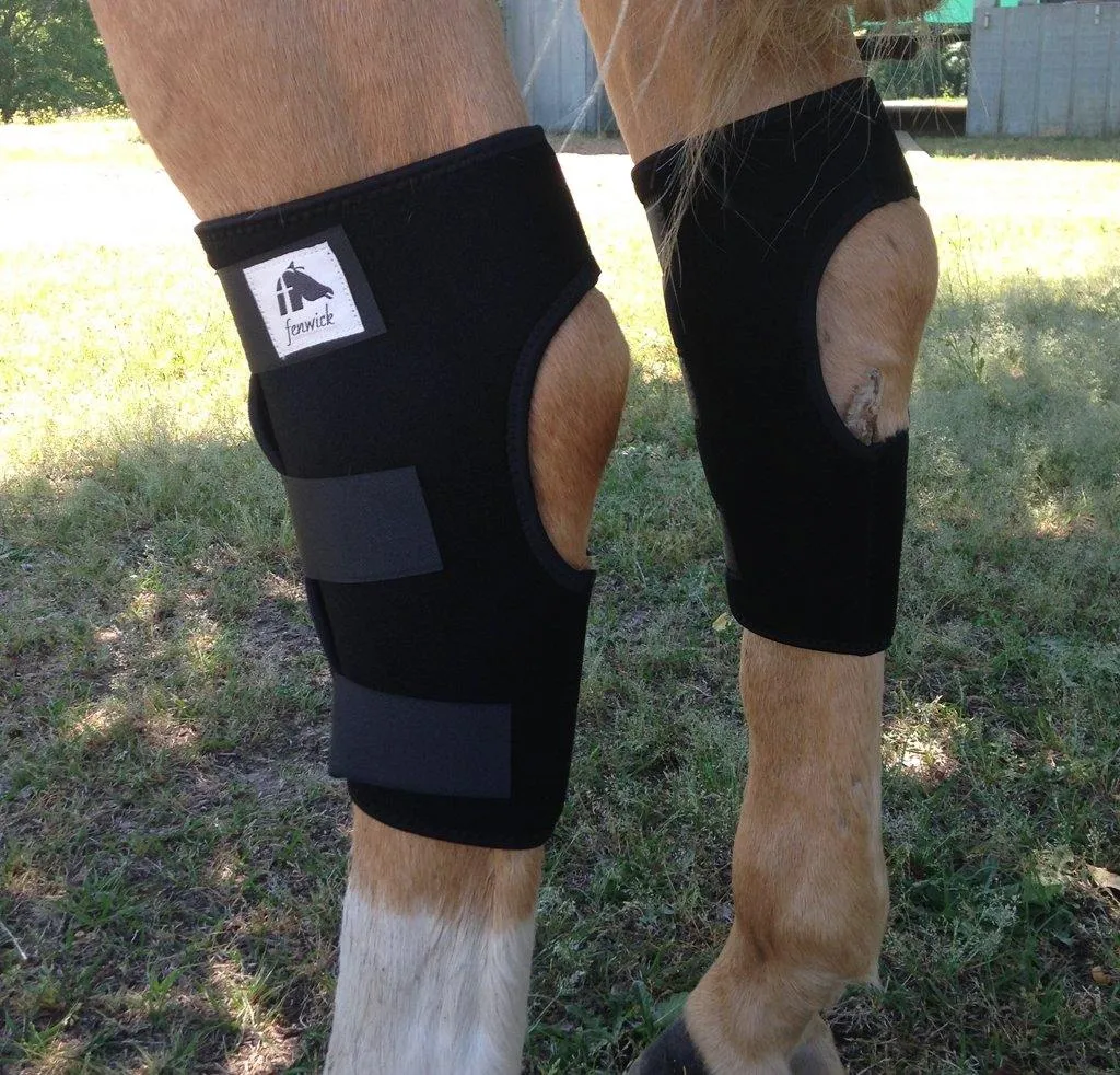 LT Horse Hock Boots