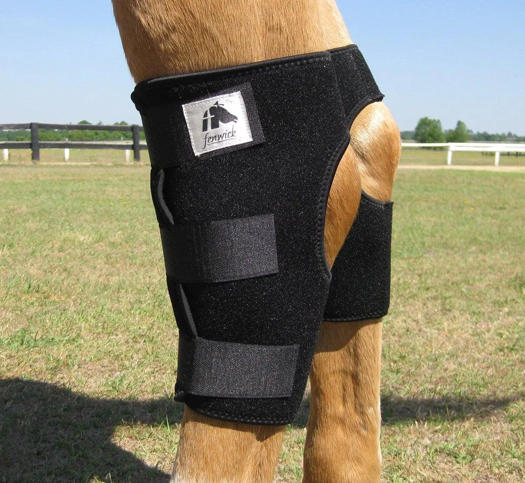 LT Horse Hock Boots