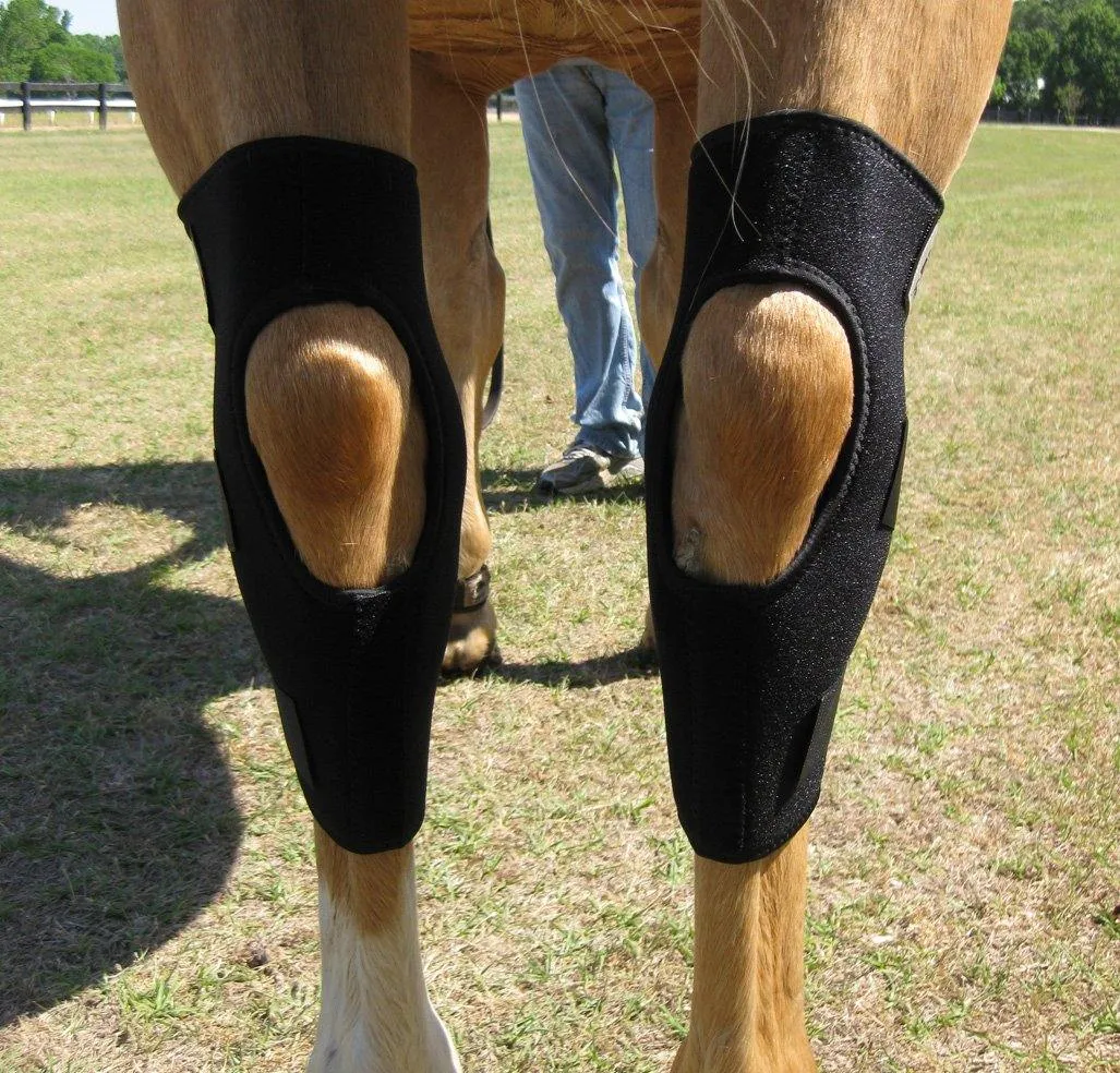 LT Horse Hock Boots