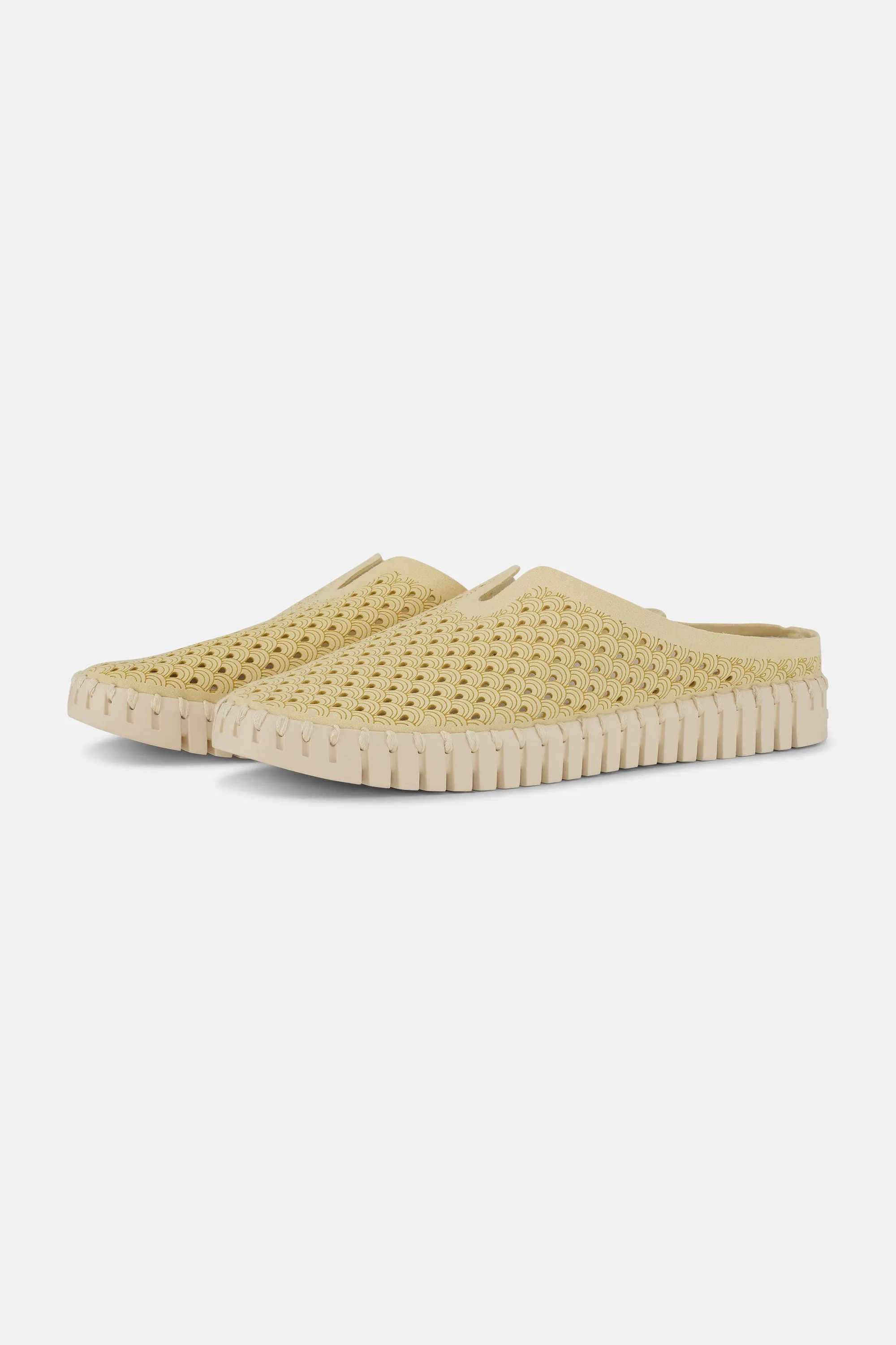 Tulip Schuhe - Double Cream