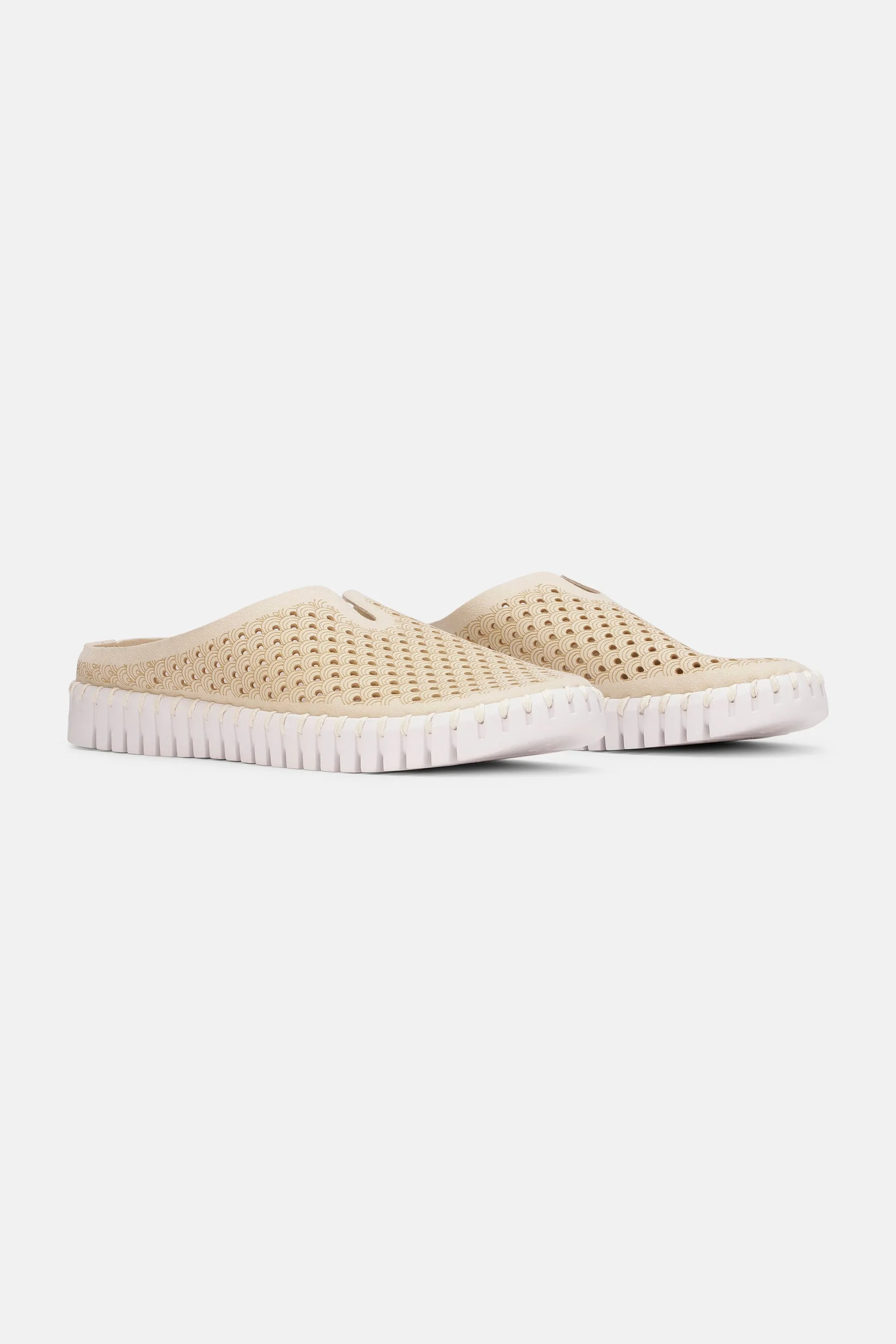 Tulip Schuhe - Kit
