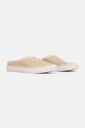 Tulip Schuhe - Kit
