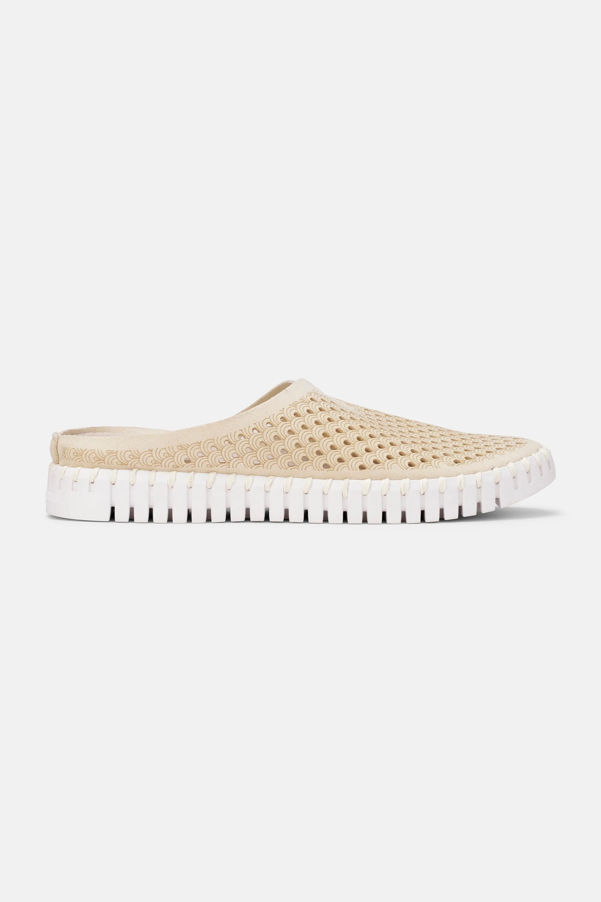 Tulip Schuhe - Kit