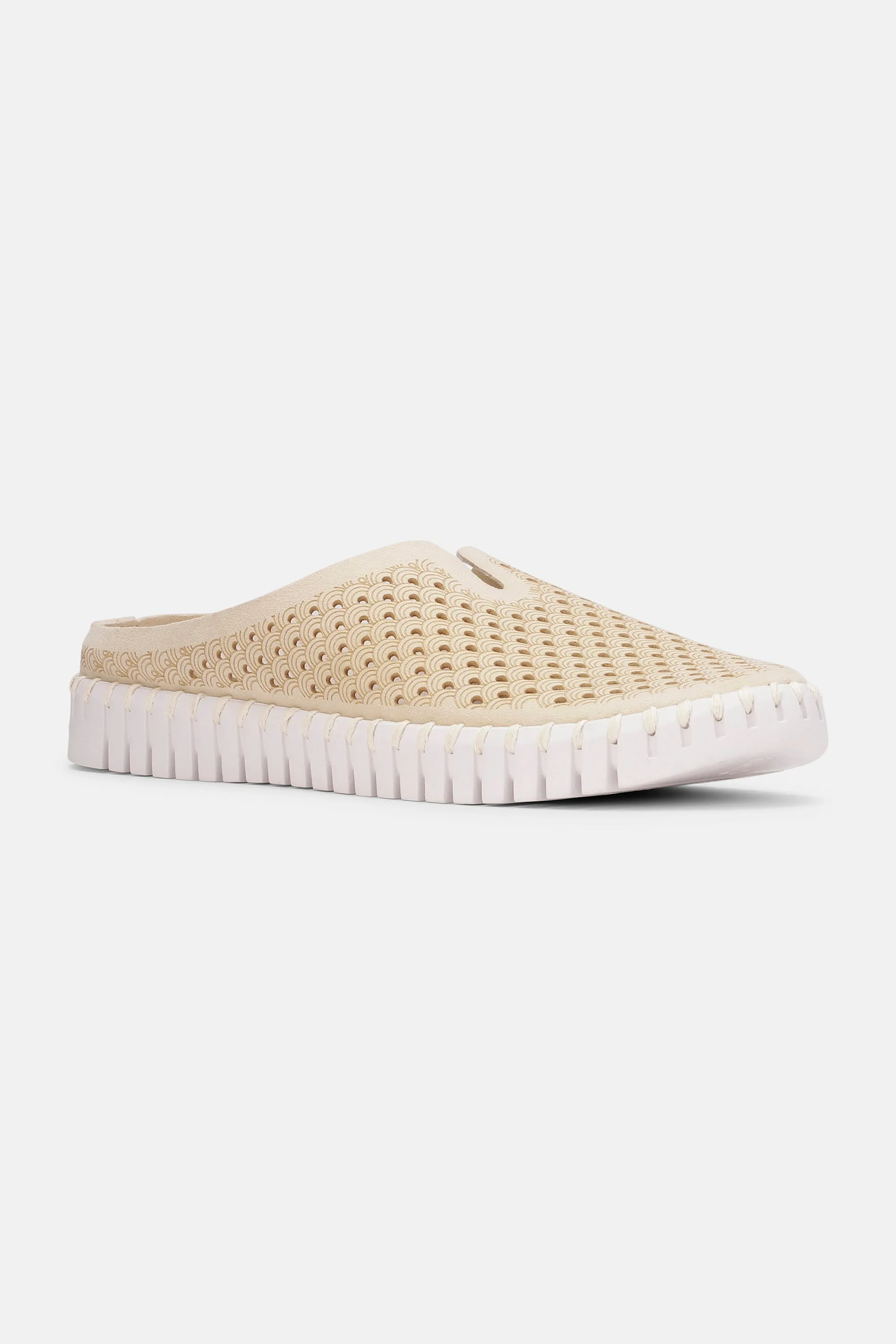 Tulip Schuhe - Kit