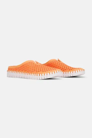 Tulip Schuhe - Mango Sorbet