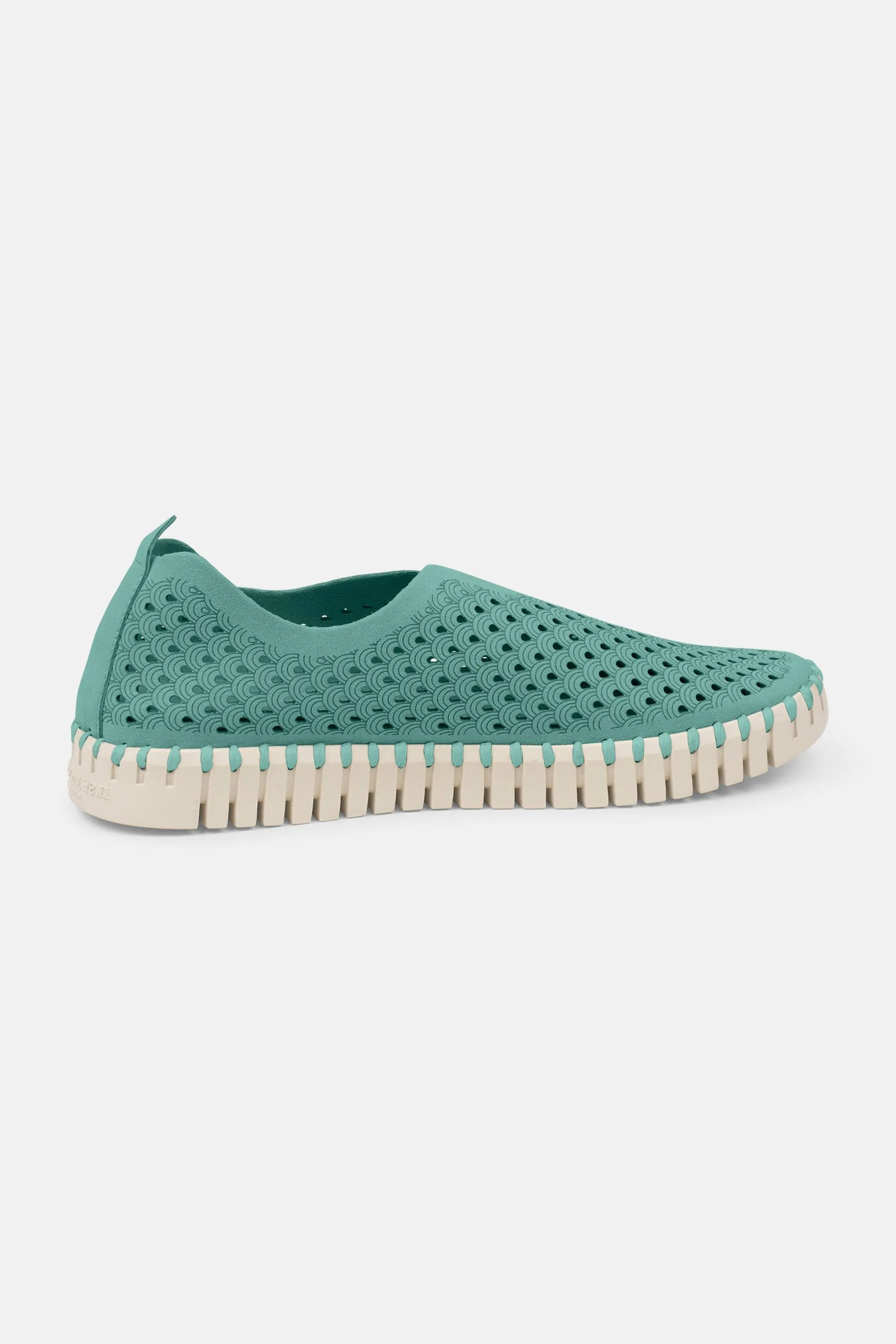 Tulip Slipper - Aqua Sky