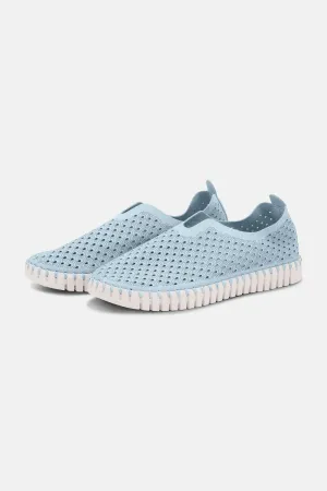 Tulip Slipper - Ash Blue