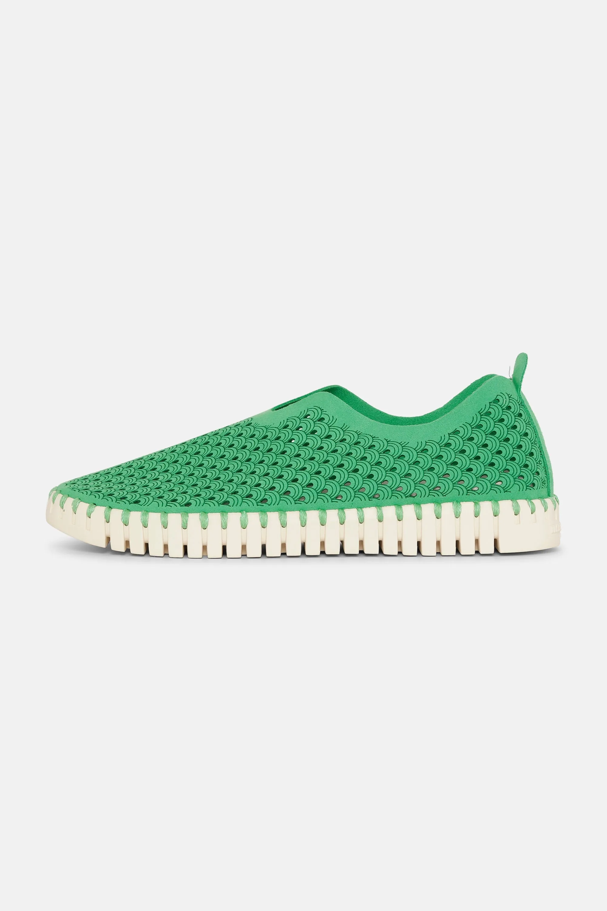 Tulip Slipper - Fern Green