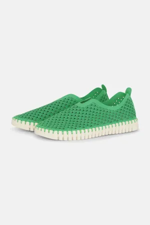 Tulip Slipper - Fern Green