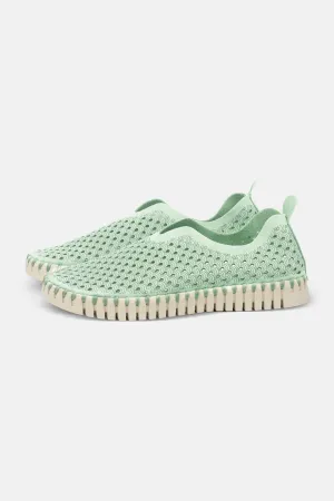 Tulip Slipper - Laurel Green