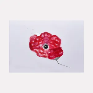 Windflower